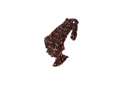 Shop Eistee Fruchtige Mango-Erdbeere - 93.5g Tea On The Rocks